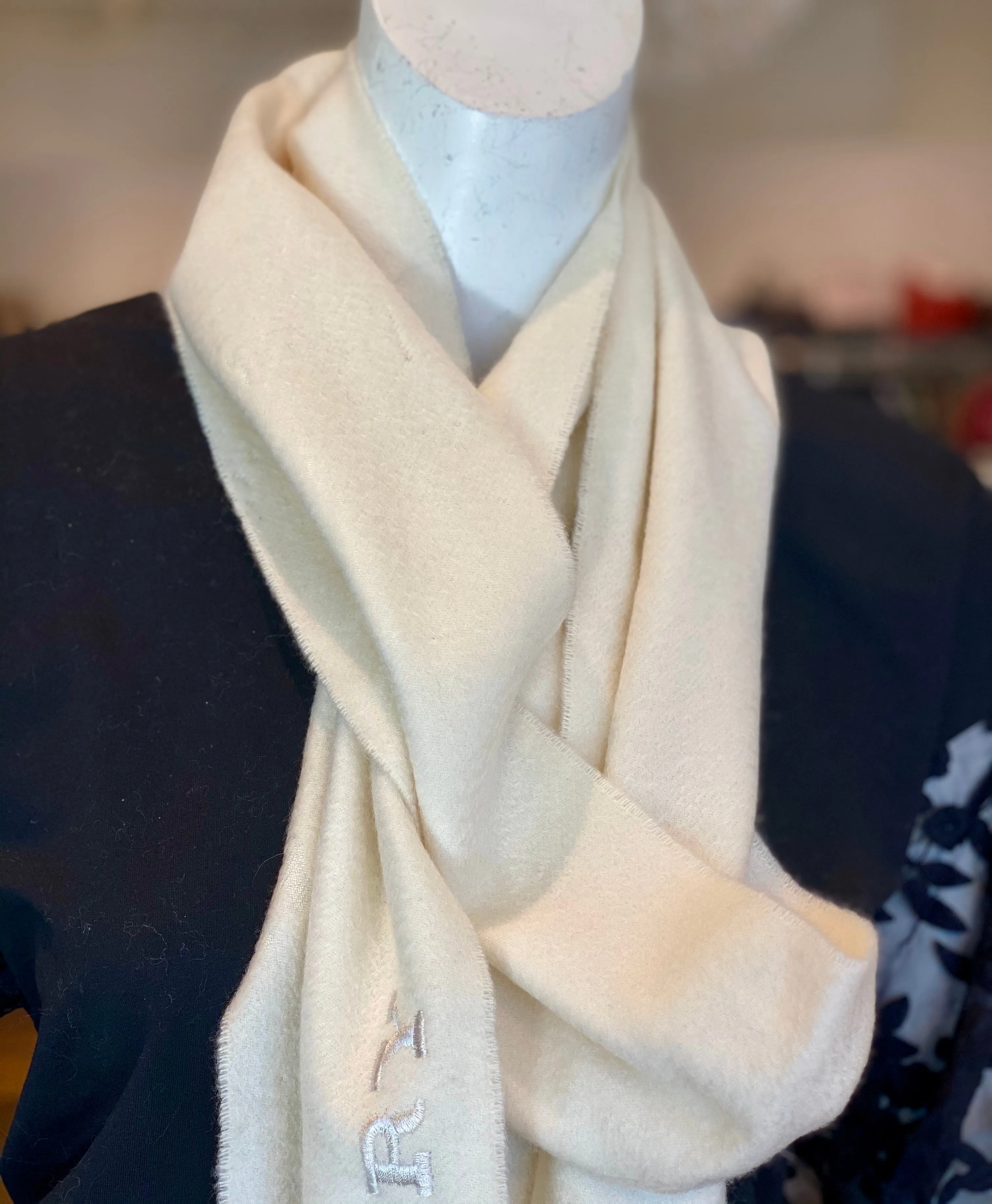 Burberry Cashmere Fringe Scarf
