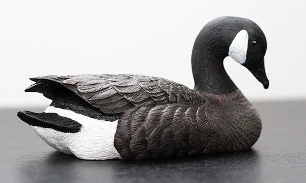 Canada Goose
