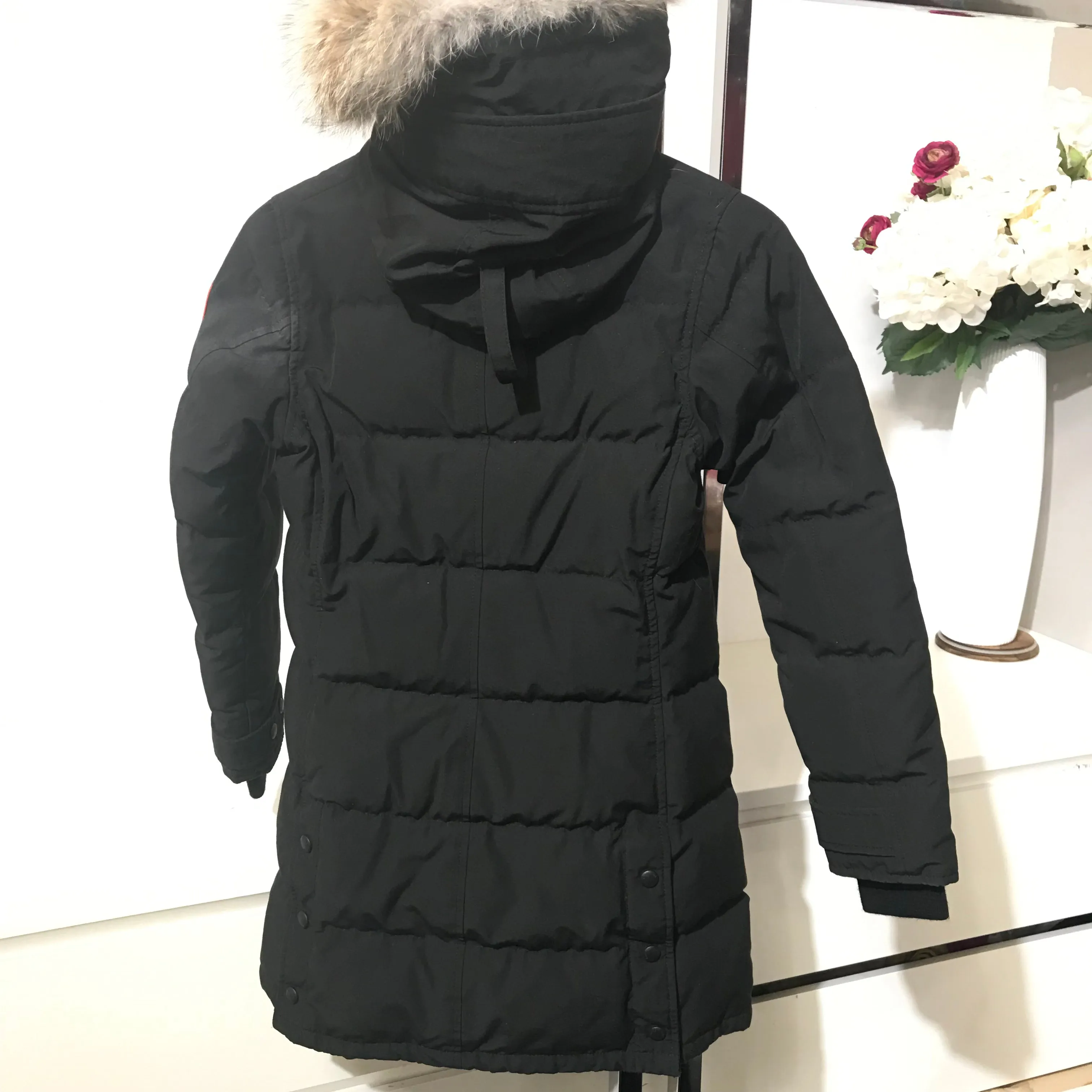 Canada Goose