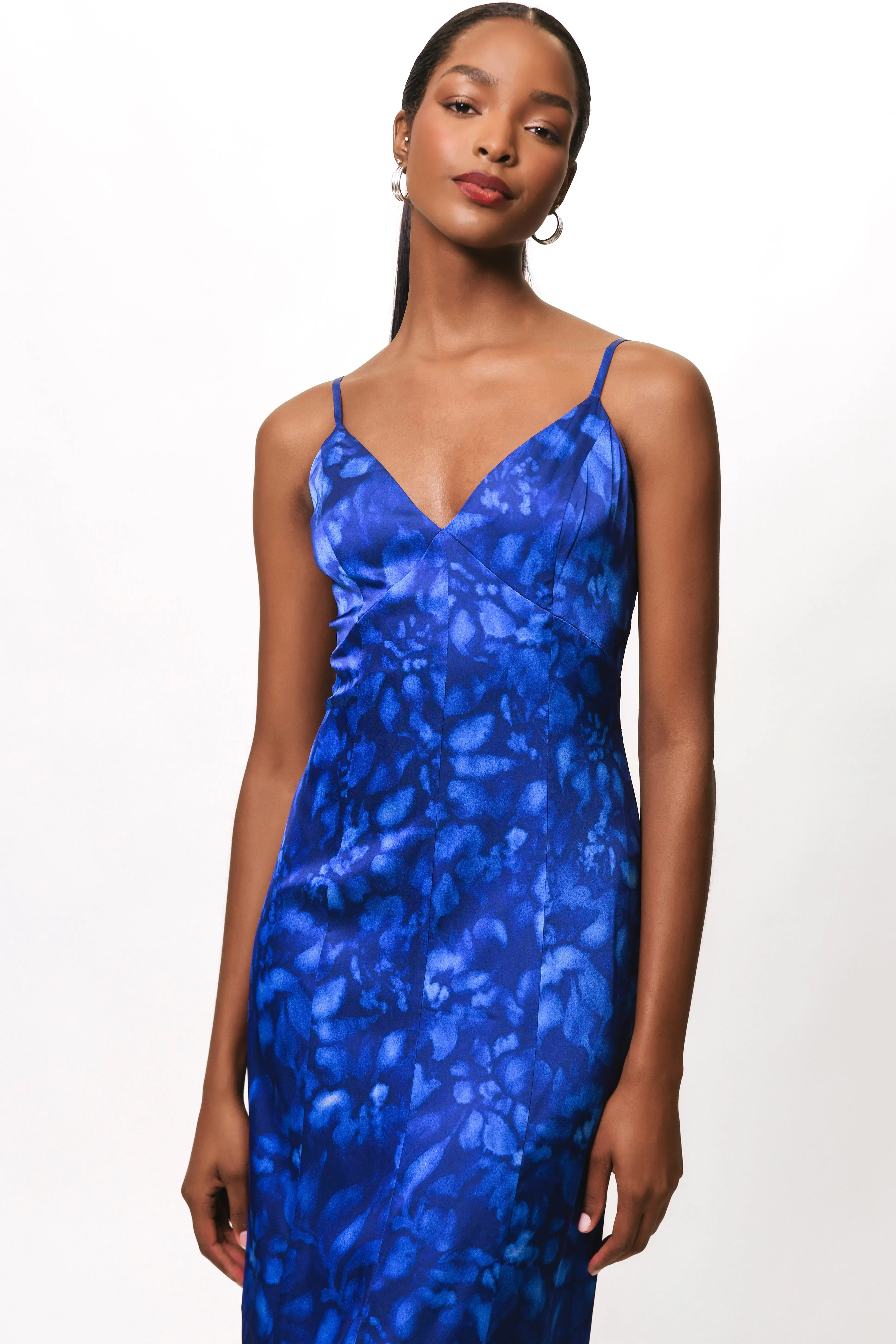 Hutch Arizona Dress
