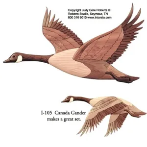 I-106 Canada Goose