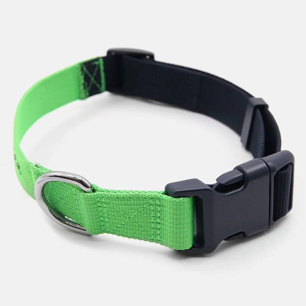 Tommy Hilfiger Webbing Collar for Dogs (Lime)