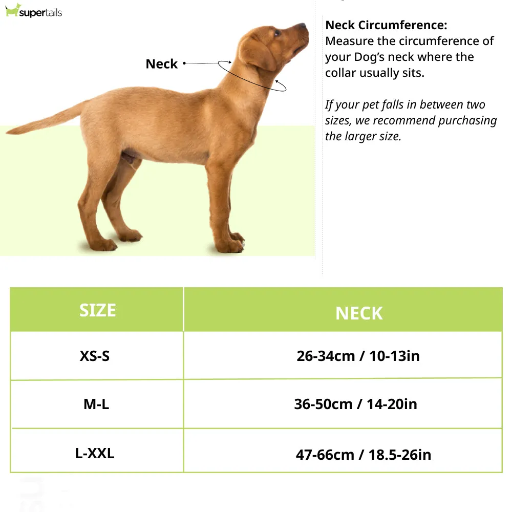 Tommy Hilfiger Webbing Collar for Dogs (Lime)